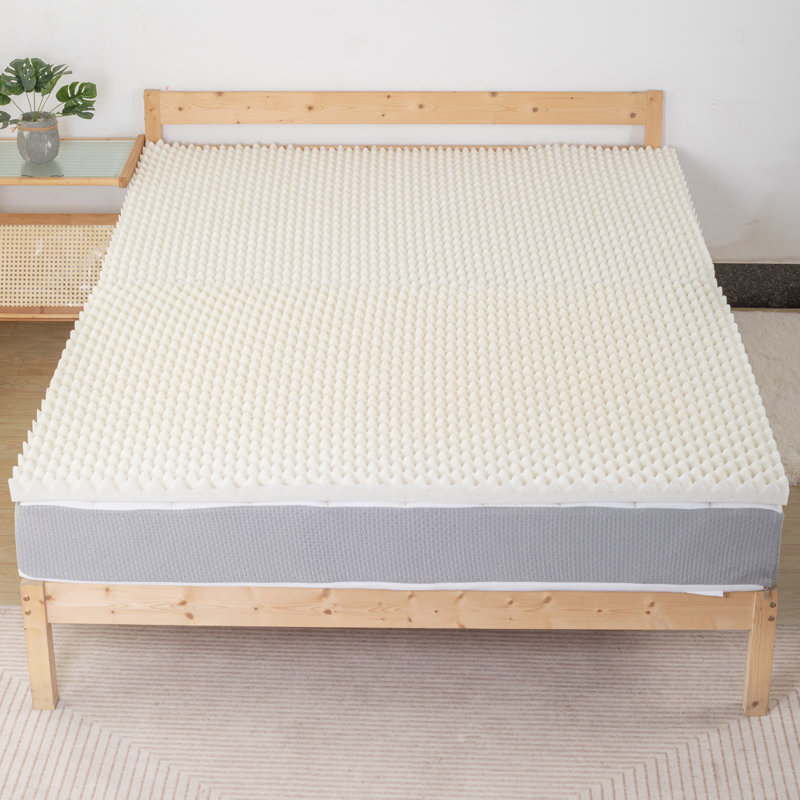 Enon 1 Inch Convoluted Copper Infused Memory Foam Mattress Toppers Alwyn Home Bed Size Queen